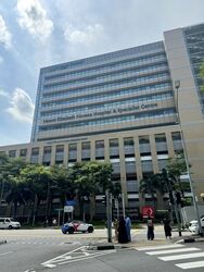 Mount Elizabeth Novena Hospital (D12), Retail #479328251